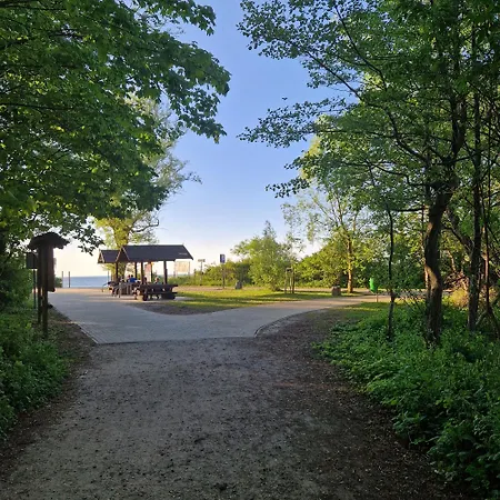 Tarsis Superior * Kolobrzeg