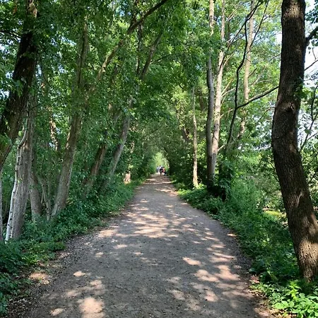 Apartment Tarsis Superior *