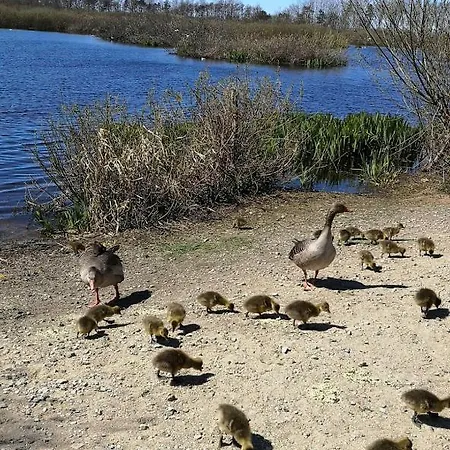 Tarsis Superior Lejlighed *