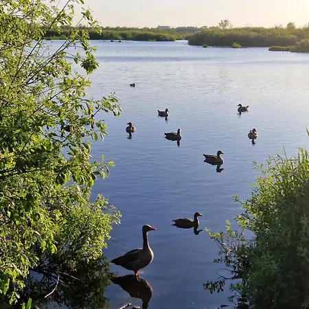 Tarsis Superior Kolberg