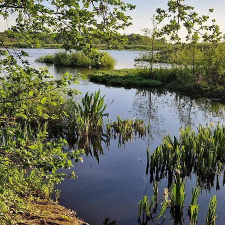 Tarsis Superior Lejlighed