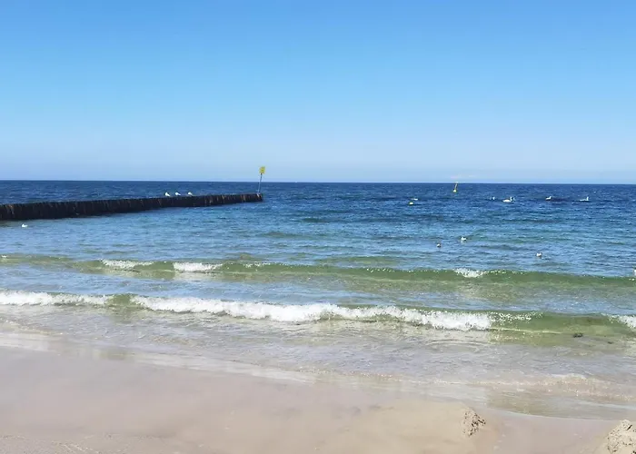 דירה Tarsis Superior קולובז'ג