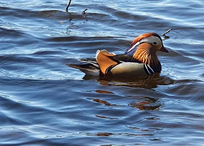 דירה Tarsis Superior *