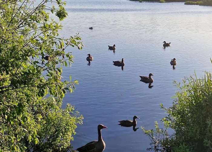 Tarsis Superior קולובז'ג