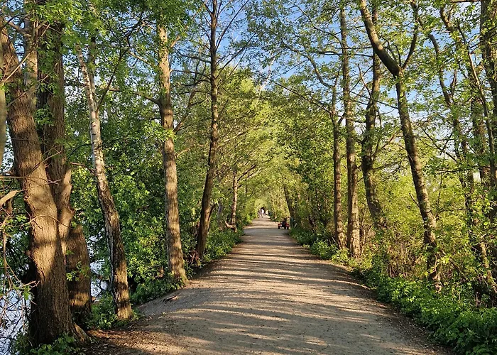 דירה Tarsis Superior *