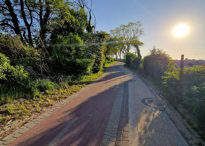 Tarsis Superior דירה קולובז'ג