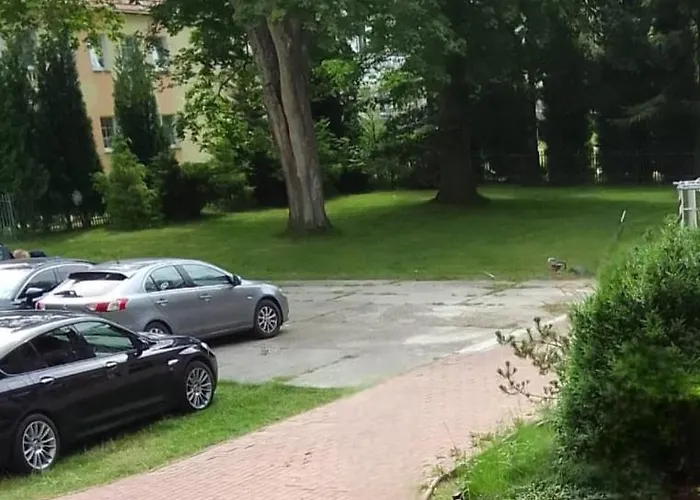 Tarsis Superior קולובז'ג